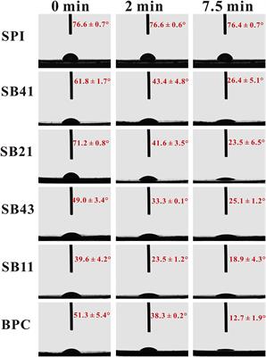 Improved Oxidation Stability of Camellia Oil-in-Water Emulsions Stabilized by the Mixed Monolayer of Soy Protein Isolate/Bamboo Shoot Protein Complexes